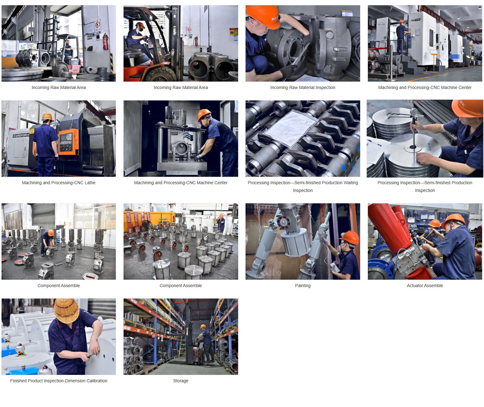 product-1567-1317 product-1567-1317